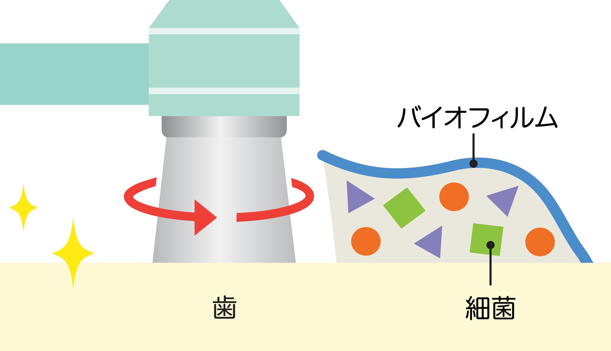 むし歯や歯周病にならないためにはバイオフィルムを徹底的に除去することが不可欠